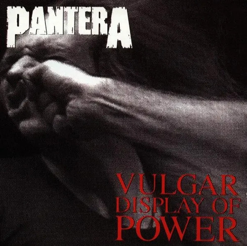 Pantera vulgar display - pantera,